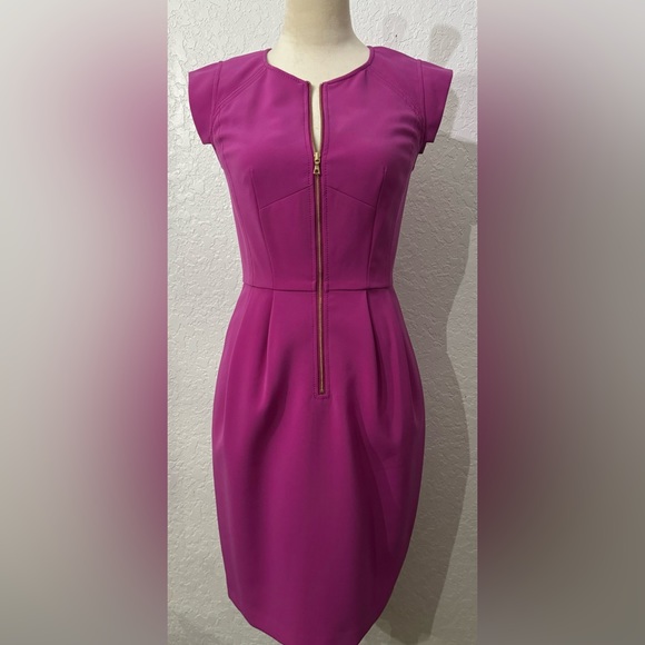 Rebecca Taylor Pink Fuchsia Cap Sleeve Front Zip Cocktail Dress Size 2 Gorgeous - Picture 5 of 13